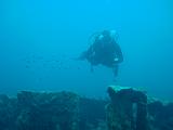 2010-09-08 12-05-056 Paul
